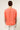 #color_persimmon